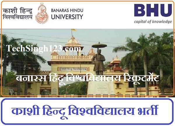 Banaras Hindu University Recruitment बीएचयू भर्ती BHU Job Vacancy