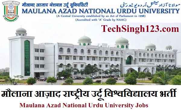 Maulana Azad National Urdu University Recruitment MANUU भर्ती