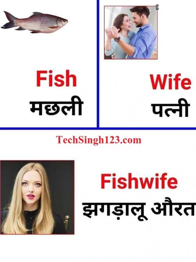 Basic English Words with meaning in hindi