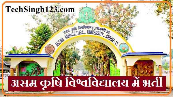 Assam Agricultural University Recruitment AAU Jorhat Recruitment