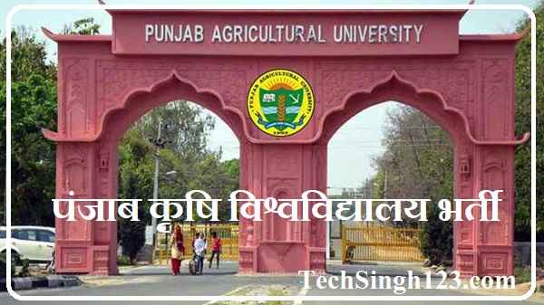 Punjab Agricultural University Recruitment Punjab Agricultural University Notification