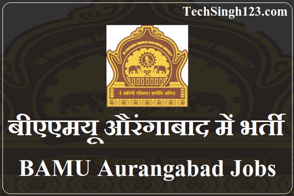 BAMU Aurangabad Recruitment BAMU Professor Recruitment