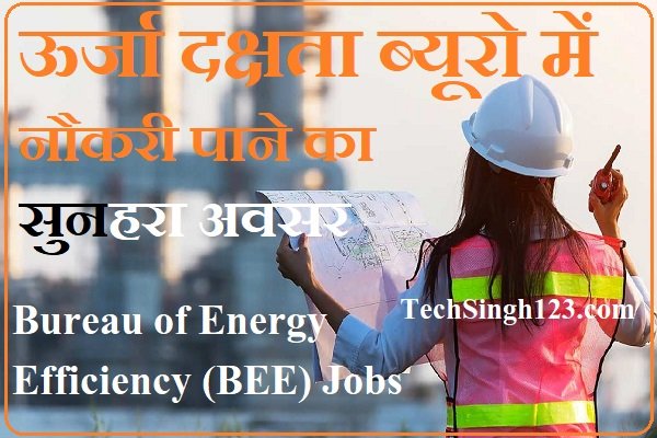 BEE Recruitment BEE india Recruitment BEE India Vacancy