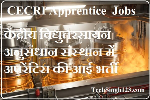 CECRI Apprentice Recruitment CECRI Karaikudi Recruitment CECRI Apprentice Bharti