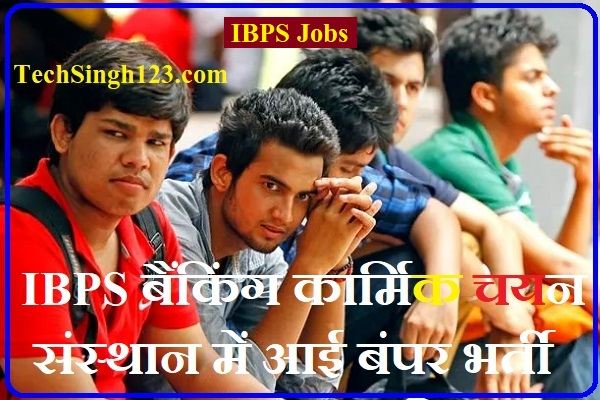 IBPS Recruitment IBPS RRB Recruitment IBPS RRB Vacancy 