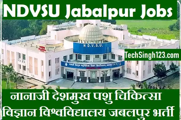 MP NDVSU Recruitment NDVSU Jabalpur Recruitment