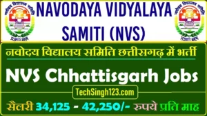 NVS CG Recruitment NVS Chhattisgarh Teacher Recruitment