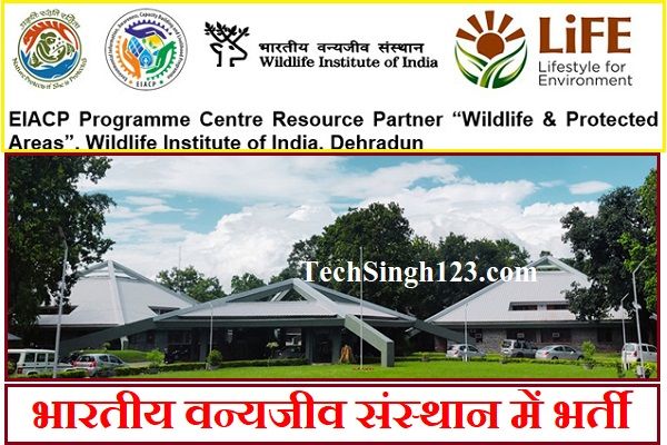 WII Dehradun Recruitment Wildlife Dehradun Recruitment